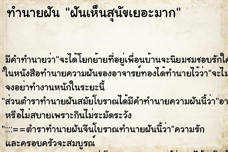 ทำนายฝัน ฝันเห็นสุนัขเยอะมาก ทำนายฝัน ฝันเห็นสุนัขเยอะมาก