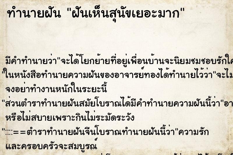 ทำนายฝัน ฝันเห็นสุนัขเยอะมาก ตำราโบราณ แม่นที่สุดในโลก