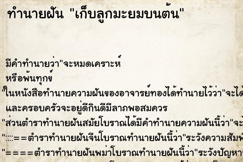 ทำนายฝัน เก็บลูกมะยมบนต้น ทำนายฝัน เก็บลูกมะยมบนต้น