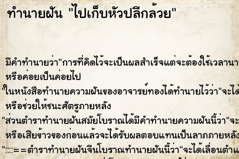 ทำนายฝัน ไปเก็บหัวปลีกล้วย ตำราโบราณ แม่นที่สุดในโลก