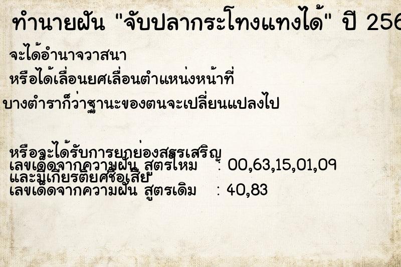 ทำนายฝันทำนายฝันจับปลากระโทงแทงได้