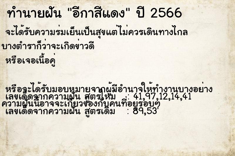 ทำนายฝันอีกาสีแดง ทำนายฝันทำนายฝันอีกาสีแดง