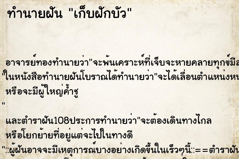 ทำนายฝันเก็บฝักบัว ทำนายฝันทำนายฝันเก็บฝักบัว
