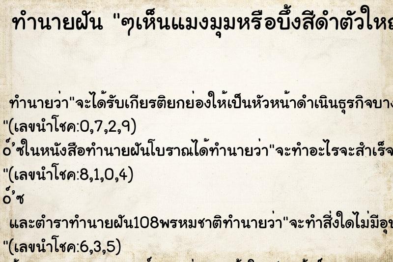 ทำนายฝันๆเห็นแมงมุมหรือบึ้งสีดำตัวใหญ่ ทำนายฝันทำนายฝันๆเห็นแมงมุมหรือบึ้งสีดำตัวใหญ่