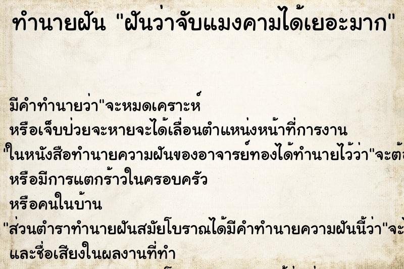 ทำนายฝัน ฝันว่าจับแมงคามได้เยอะมาก ทำนายฝัน ฝันว่าจับแมงคามได้เยอะมาก