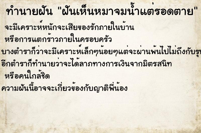 ทำนายฝันฝันเห็นหมาจมน้ำแต่รอดตาย ทำนายฝันทำนายฝันฝันเห็นหมาจมน้ำแต่รอดตาย