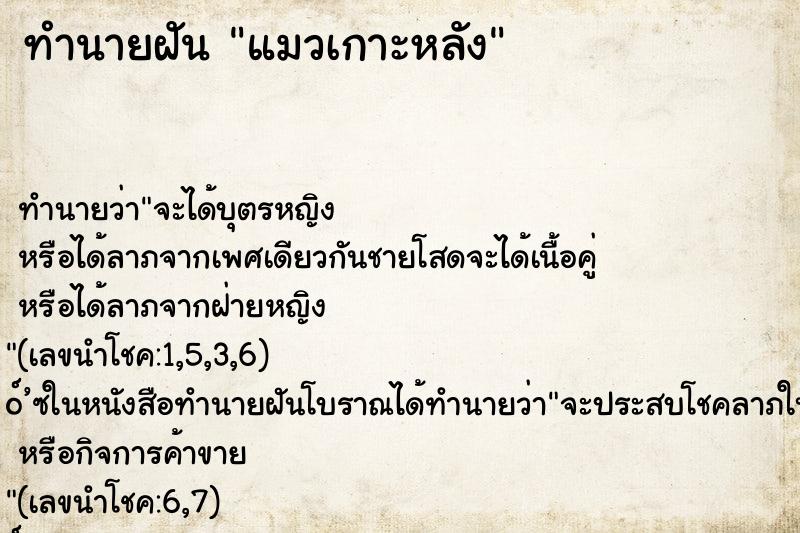 ทำนายฝัน แมวเกาะหลัง