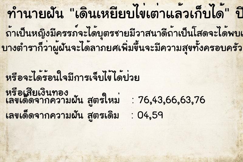 ทำนายฝันเดินเหยียบไข่เต่าแล้วเก็บได้ ทำนายฝันทำนายฝันเดินเหยียบไข่เต่าแล้วเก็บได้
