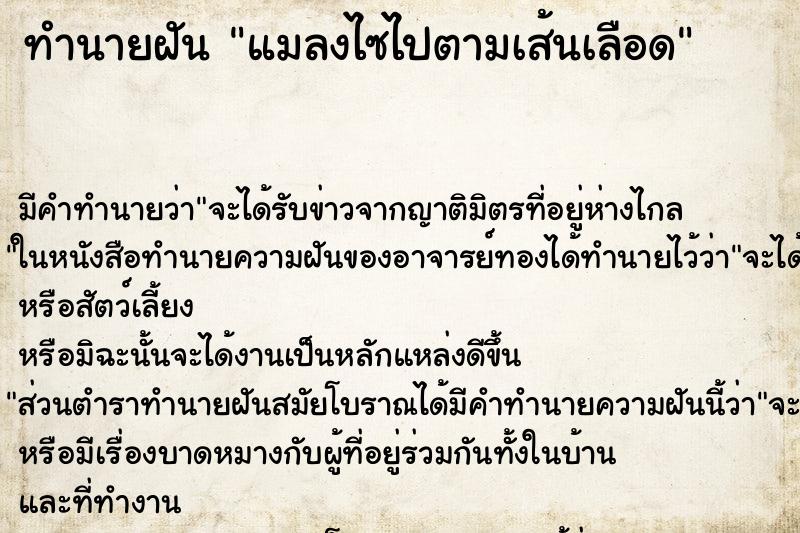 ทำนายฝันแมลงไซไปตามเส้นเลือด ทำนายฝันทำนายฝันแมลงไซไปตามเส้นเลือด