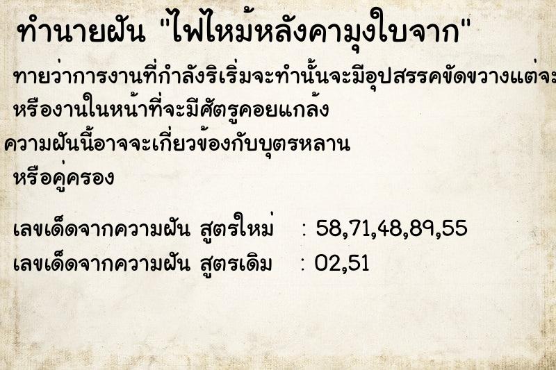 ทำนายฝันไฟไหม้หลังคามุงใบจาก ทำนายฝันทำนายฝันไฟไหม้หลังคามุงใบจาก