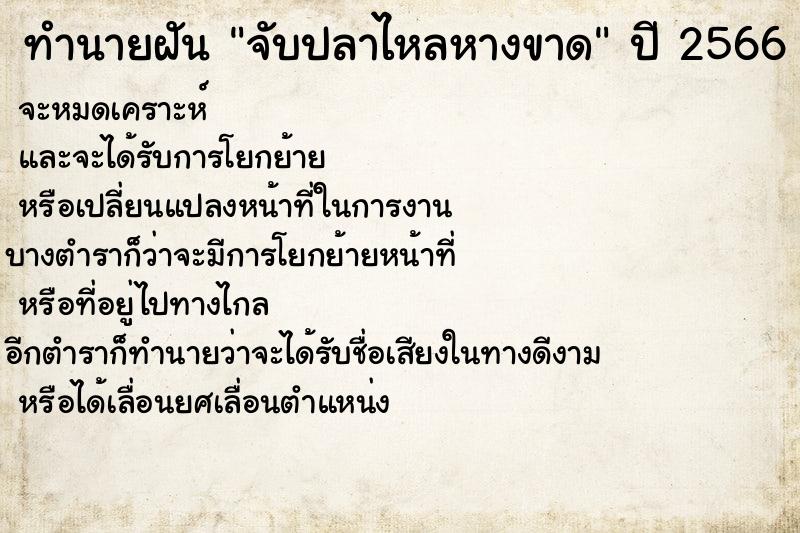 ทำนายฝันจับปลาไหลหางขาด ทำนายฝันทำนายฝันจับปลาไหลหางขาด