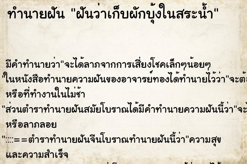 ทำนายฝัน ฝันว่าเก็บผักบุ้งในสระน้ำ ทำนายฝัน ฝันว่าเก็บผักบุ้งในสระน้ำ