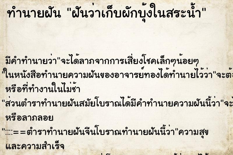 ทำนายฝัน ฝันว่าเก็บผักบุ้งในสระน้ำ ตำราโบราณ แม่นที่สุดในโลก