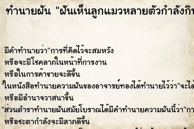 ทำนายฝัน ฝันเห็นลูกแมวหลายตัวกำลังกินนมแม่ ทำนายฝัน ฝันเห็นลูกแมวหลายตัวกำลังกินนมแม่