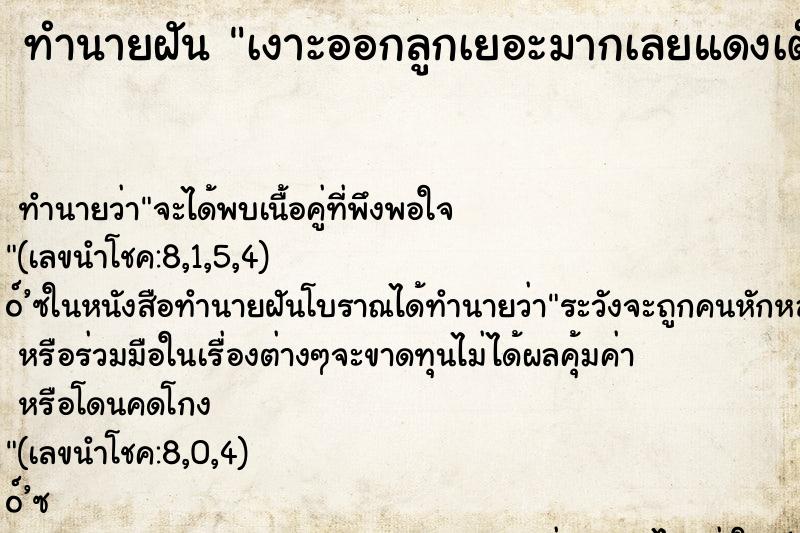 ทำนายฝัน เงาะออกลูกเยอะมากเลยแดงเต็มต้น