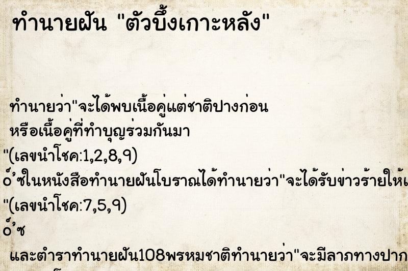 ทำนายฝันทำนายฝันตัวบึ้งเกาะหลัง