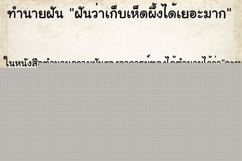 ทำนายฝันฝันว่าเก็บเห็ดผึ้งได้เยอะมาก ทำนายฝันทำนายฝันฝันว่าเก็บเห็ดผึ้งได้เยอะมาก