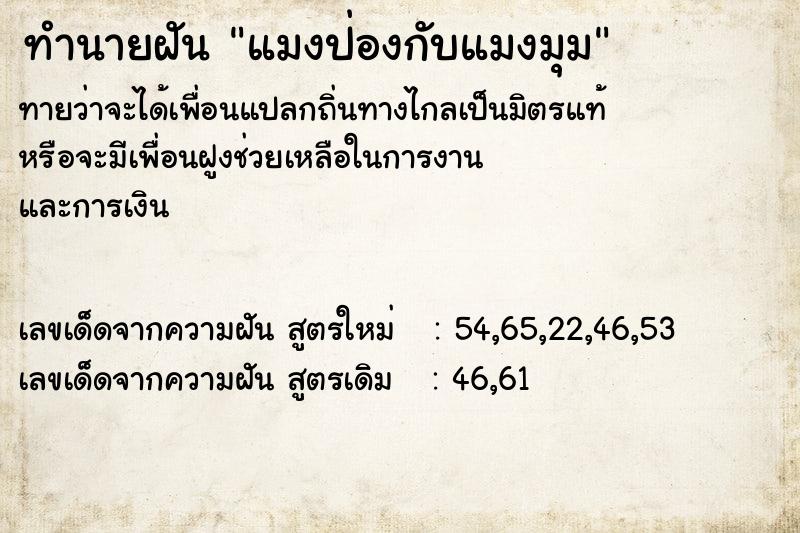 ทำนายฝัน แมงป่องกับแมงมุม ทำนายฝัน แมงป่องกับแมงมุม
