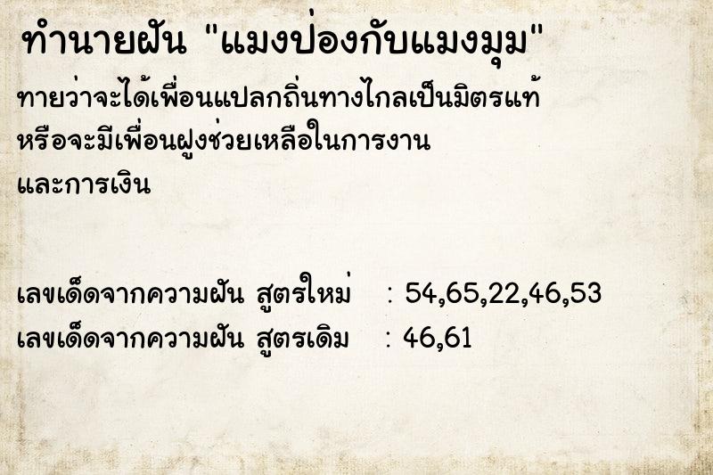 ทำนายฝัน แมงป่องกับแมงมุม ตำราโบราณ แม่นที่สุดในโลก