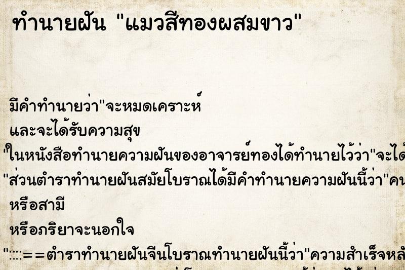 ทำนายฝันแมวสีทองผสมขาว ทำนายฝันทำนายฝันแมวสีทองผสมขาว