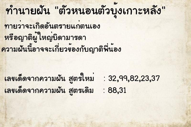 ทำนายฝัน ตัวหนอนตัวบุ้งเกาะหลัง ตำราโบราณ แม่นที่สุดในโลก