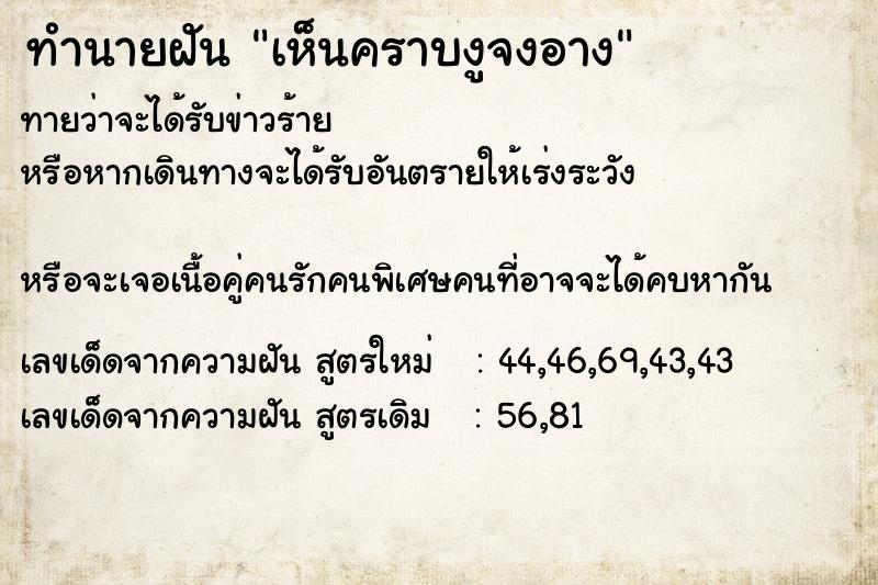 ทำนายฝัน เห็นคราบงูจงอาง ตำราโบราณ แม่นที่สุดในโลก