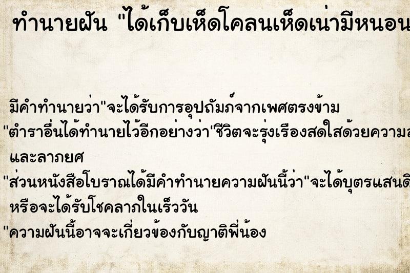 ทำนายฝันทำนายฝันได้เก็บเห็ดโคลนเห็ดเน่ามีหนอน