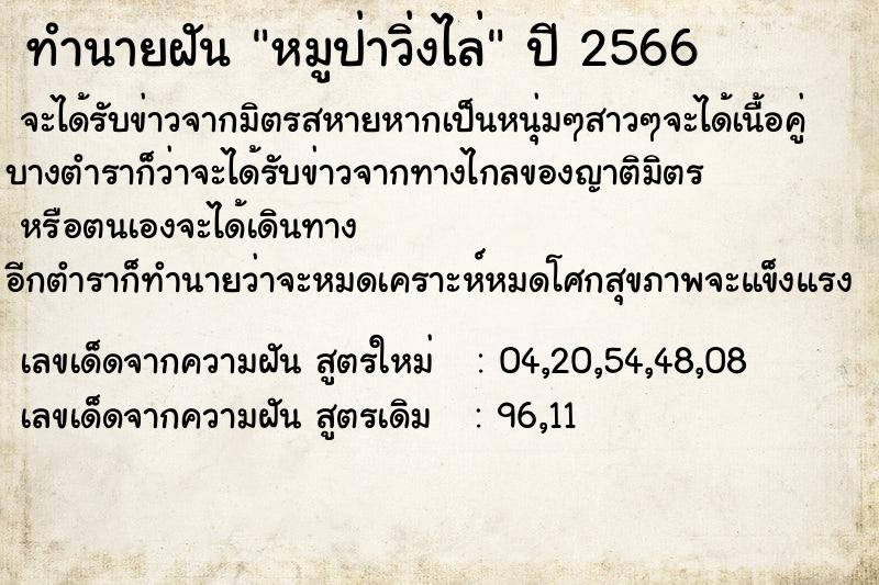 ทำนายฝัน หมูป่าวิ่งไล่ ทำนายฝัน หมูป่าวิ่งไล่