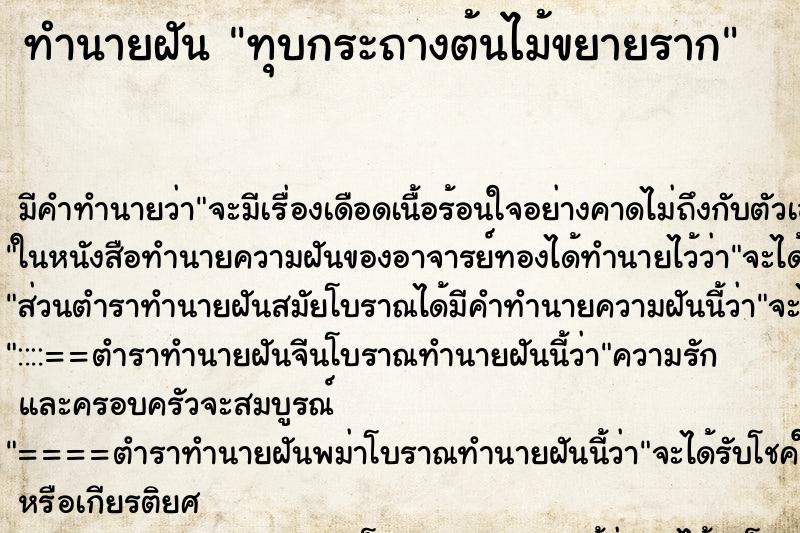 ทำนายฝันทำนายฝันทุบกระถางต้นไม้ขยายราก