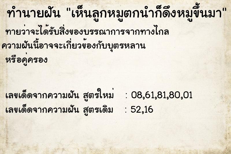 ทำนายฝัน เห็นลูกหมูตกนำก็ดึงหมูขึ้นมา ทำนายฝัน เห็นลูกหมูตกนำก็ดึงหมูขึ้นมา