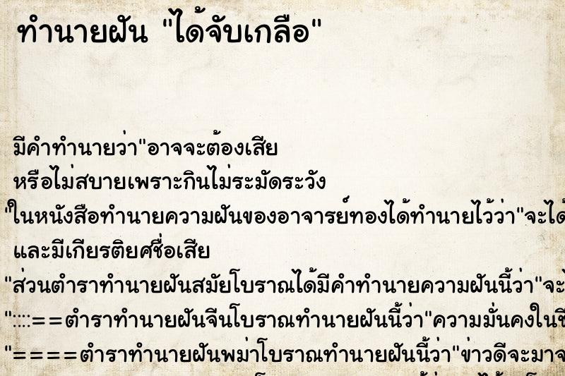 ทำนายฝัน ได้จับเกลือ ทำนายฝัน ได้จับเกลือ