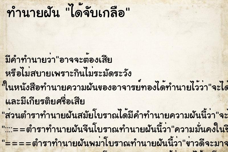 ทำนายฝัน ได้จับเกลือ ตำราโบราณ แม่นที่สุดในโลก