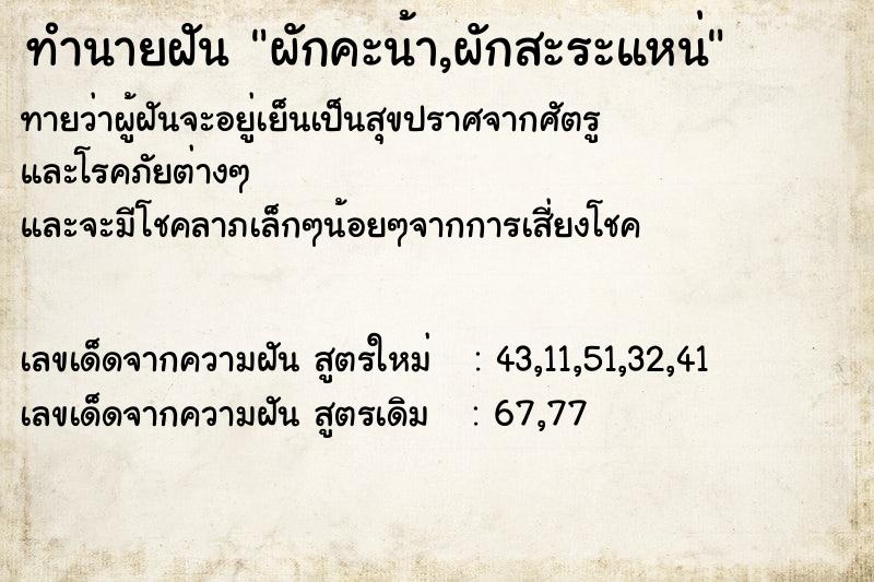 ทำนายฝัน ผักคะน้า,ผักสะระแหน่ ทำนายฝัน ผักคะน้า,ผักสะระแหน่