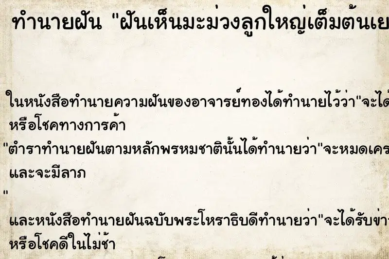 ทำนายฝัน ฝันเห็นมะม่วงลูกใหญ่เต็มต้นเยอะแยะ ตำราโบราณ แม่นที่สุดในโลก