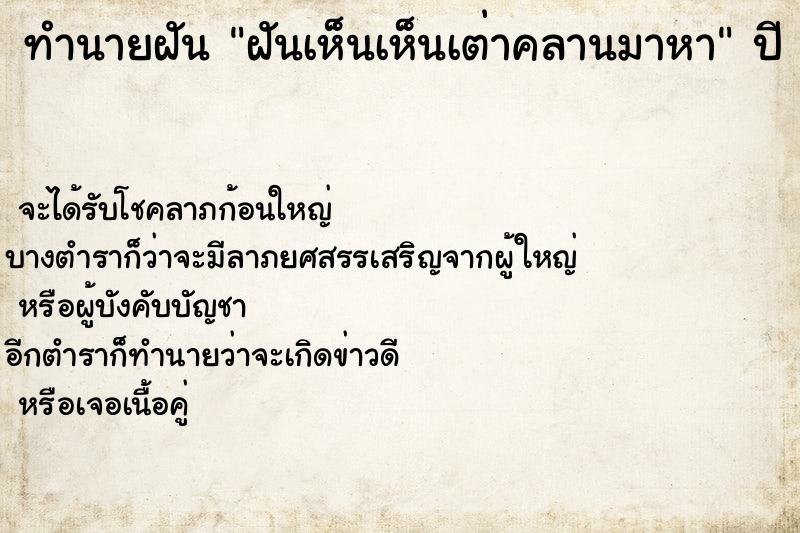 ทำนายฝันทำนายฝันฝันเห็นเห็นเต่าคลานมาหา