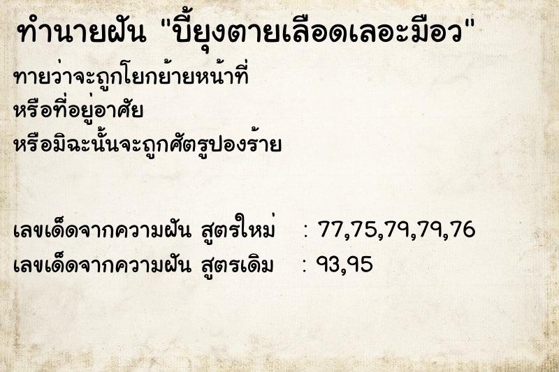 ทำนายฝันบี้ยุงตายเลือดเลอะมือว ทำนายฝันทำนายฝันบี้ยุงตายเลือดเลอะมือว
