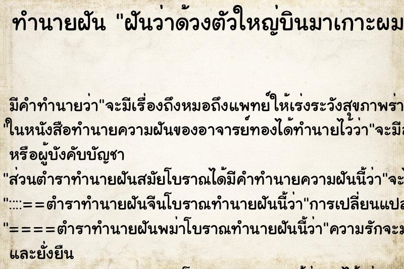 ทำนายฝันฝันว่าด้วงตัวใหญ่บินมาเกาะผม ทำนายฝันทำนายฝันฝันว่าด้วงตัวใหญ่บินมาเกาะผม