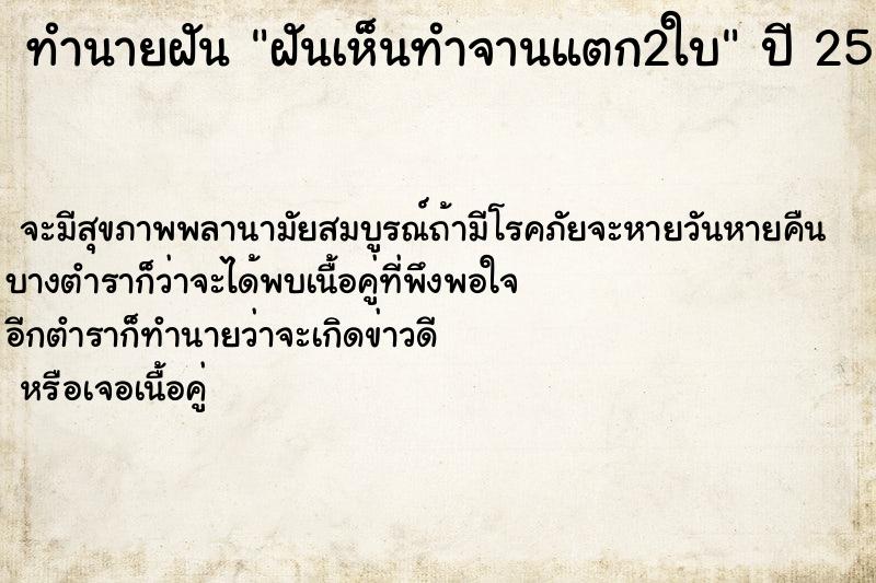 ทำนายฝันฝันเห็นทำจานแตก2ใบ ทำนายฝันทำนายฝันฝันเห็นทำจานแตก2ใบ