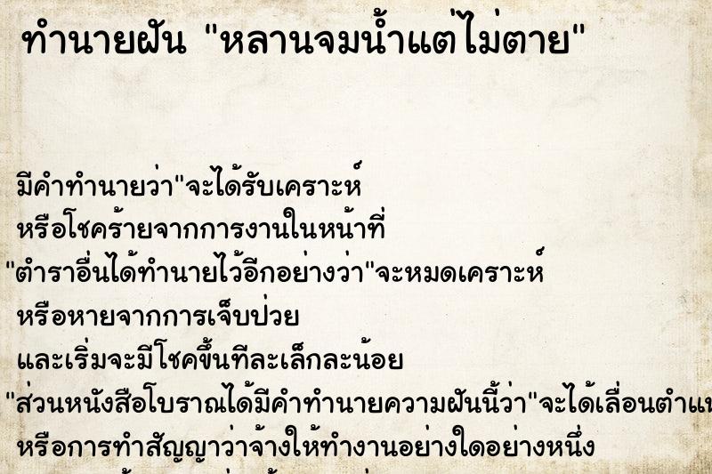 ทำนายฝัน หลานจมน้ำแต่ไม่ตาย