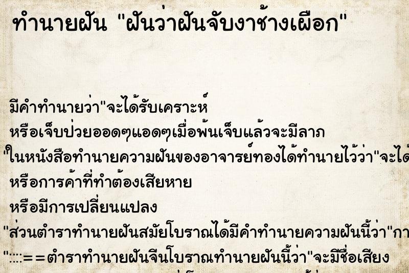 ทำนายฝันฝันว่าฝันจับงาช้างเผือก ทำนายฝันทำนายฝันฝันว่าฝันจับงาช้างเผือก