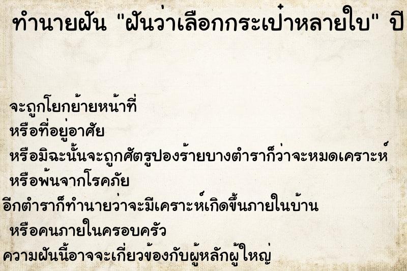 ทำนายฝันทำนายฝันฝันว่าเลือกกระเป๋าหลายใบ