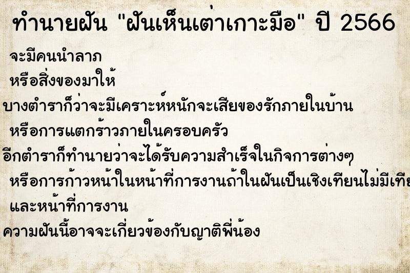ทำนายฝัน ฝันเห็นเต่าเกาะมือ