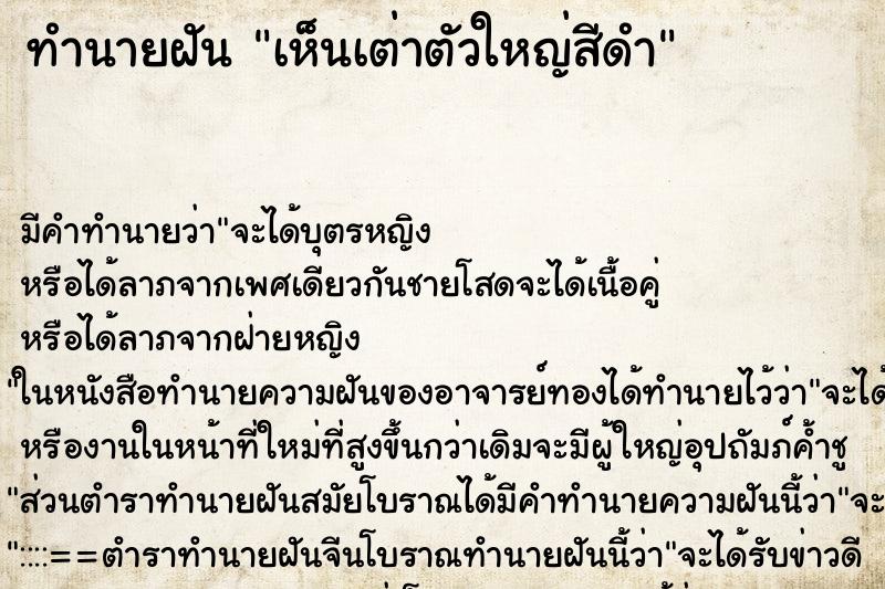 ทำนายฝัน เห็นเต่าตัวใหญ่สีดำ ทำนายฝัน เห็นเต่าตัวใหญ่สีดำ
