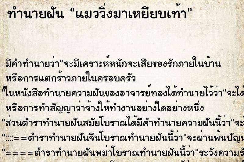ทำนายฝันทำนายฝันแมววิ่งมาเหยียบเท้า