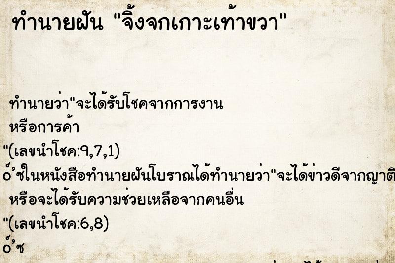 ทำนายฝัน จิ้งจกเกาะเท้าขวา ทำนายฝัน จิ้งจกเกาะเท้าขวา