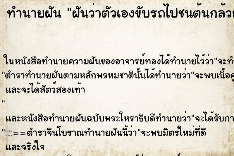 ทำนายฝันฝันว่าตัวเองขับรถไปชนต้นกล้วยล้ม ทำนายฝันทำนายฝันฝันว่าตัวเองขับรถไปชนต้นกล้วยล้ม
