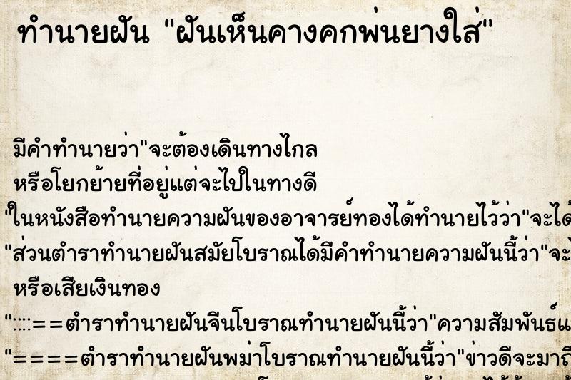 ทำนายฝัน ฝันเห็นคางคกพ่นยางใส่ ทำนายฝัน ฝันเห็นคางคกพ่นยางใส่