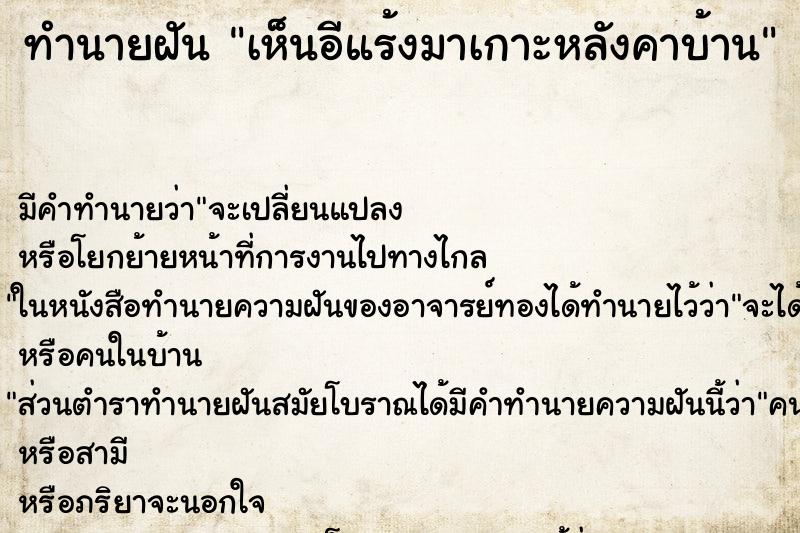 ทำนายฝัน เห็นอีแร้งมาเกาะหลังคาบ้าน