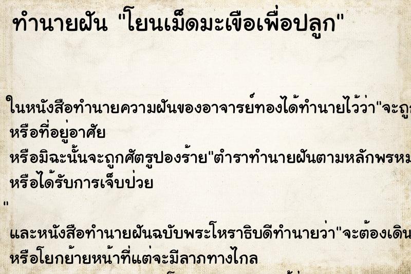 ทำนายฝัน โยนเม็ดมะเขือเพื่อปลูก