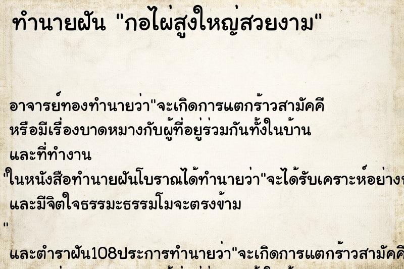 ทำนายฝันกอไผ่สูงใหญ่สวยงาม ทำนายฝันทำนายฝันกอไผ่สูงใหญ่สวยงาม